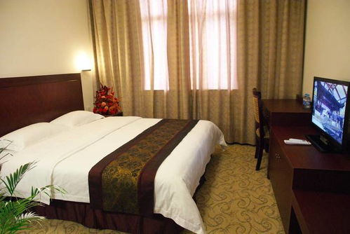 山海港城，宾至如归——连云港市人民政府推动酒店服务业高质量发展纪实